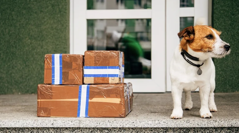 Pet supplies among the least returned e-commerce categories in Switzerland