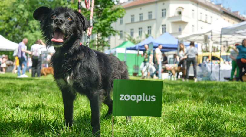 Zooplus launches marketplace in Germany: will it scale across Europe?